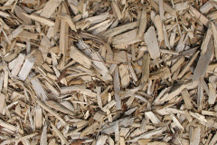biomass boilers Bedfield
